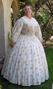 TV447 – 1863 Sheer Dress – Truly Victorian