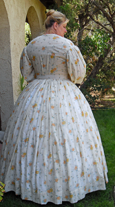 TV447 – 1863 Sheer Dress – Truly Victorian